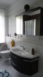 ein Badezimmer mit einem Waschbecken, einem WC und einem Spiegel in der Unterkunft Apartment am Kunsthaus Nordhausen, 1 OG in Nordhausen