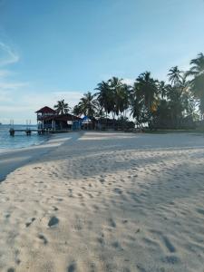 パナマシティにあるDiegun Toursのヤシの木と家のある砂浜