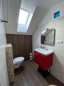 ein Badezimmer mit Waschbecken, Spiegel und Toilette in der Unterkunft Apartmán Králíček na vínné stezce in Dolní Bojanovice