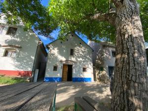 een gebouw met een boom ervoor bij Apartmán Králíček na vínné stezce in Dolní Bojanovice