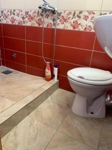 a bathroom with a toilet and a sink at U Villi BB Gornji Zalik bb in Mostar +26 photos