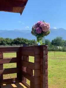 a vase of flowers sitting on top of a fence at Eco house in Akuaska in Ochamchira