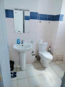 La salle de bains est pourvue de toilettes et d'un lavabo. dans l'établissement Cozzy homestyle, à Nairobi