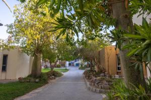 SPNI Eilat Field School外面的花园