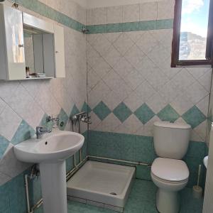 a bathroom with a toilet and a sink at Anilio Rooms in Anilio Metsovo