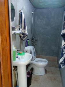uma pequena casa de banho com WC e lavatório em Spring em Garni