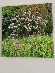 um campo de flores em frente a uma árvore em Guest house Truro garden retreat em Kenwyn