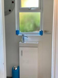 łazienka z umywalką i oknem w obiekcie Guest house Truro garden retreat w mieście Kenwyn