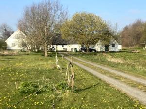 een hek in een veld met een huis en een weg bij Lantligt boende på Österlen in Kivik