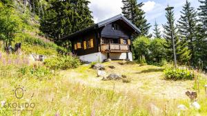 a small house on the side of a hill at Chalet Eichhornli, Riederalp Golmenegg in Riederalp