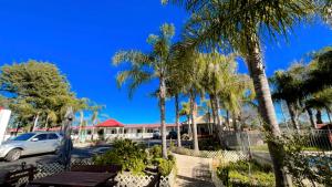 a park with benches and palm trees in a parking lot at Seven Inn in Wagga Wagga