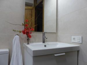 uma casa de banho com um lavatório e um vaso com flores vermelhas em Apartamento Ábside de San Juan II em Estella