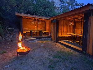 a fire pit in front of a wooden cabin at Isabellental - Blacksmithing in Stříbro