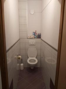 La petite salle de bains est pourvue de toilettes et d'un lavabo. dans l'établissement Valentina, à Vinišće