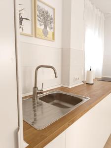 una cucina con lavello in acciaio inossidabile di SHERRY V Apartamentos a Jerez de la Frontera