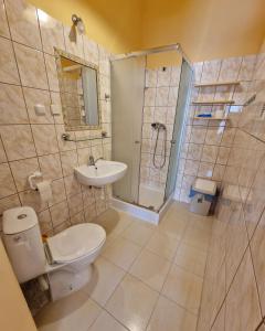 a bathroom with a toilet and a sink and a shower at Dom Gościnny Roksana in Rewal