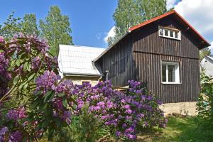 Imagine din galeria proprietății Bušeranda - depandance Hotelu U Zeleného stromu în Děčín