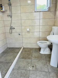 uma casa de banho com um chuveiro e um WC. em KAMP-PRIKOLICA em Donji Stoj