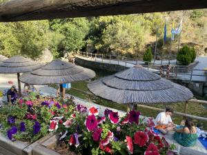 a group of people sitting under umbrellas next to flowers at Casa do Tio Ferreiro in Sabugueiro +21 photos