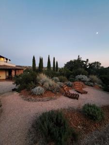 um jardim com um banco e árvores e arbustos em Casale Terre Rosse Garden em Saturnia