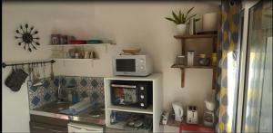 eine Küche mit einer Spüle und einer Mikrowelle auf einem Regal in der Unterkunft studio cosy indépendant avec baie vitrée et jolie terrasse in Coulommiers