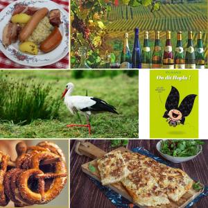 a collage of pictures of different types of food at Le Riesling - Mobilhome pour 6 - TV - Climatisé in Boofzheim