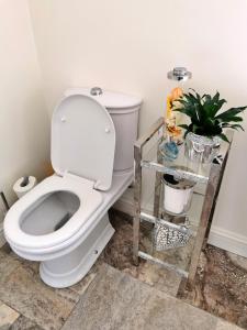 a bathroom with a toilet and a plant on a shelf at Leylands 