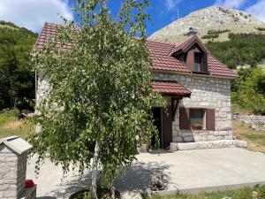 a house with a tree in front of it at Lovcen Holiday Home in Cetinje