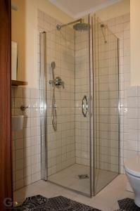 W łazience znajduje się przeszklony prysznic i toaleta. w obiekcie Zagroda Kołodzieja w mieście Zgorzelec