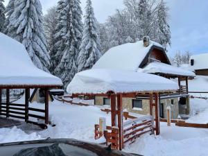 dom pokryty śniegiem z drzewami w tle w obiekcie BRVNARA MILA w mieście Zaovine