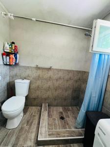 La salle de bains est pourvue d'une douche et de toilettes. dans l'établissement Wine Garden Rabati, à Akhaltsikhé