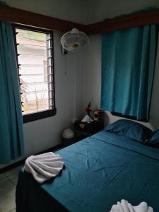 a bedroom with a bed with blue sheets and a window at The Ideal Bed & Breakfast in Nadi