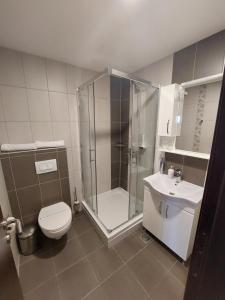 a bathroom with a shower and a toilet and a sink at Motel MS in Srpski Itebej
