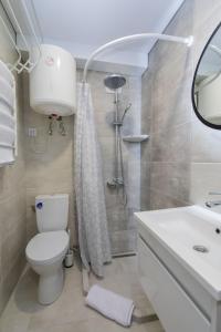 ein Bad mit einem WC, einem Waschbecken und einer Dusche in der Unterkunft MYFREEDOM Апартаменти Залізничний Вокзал in Kiew