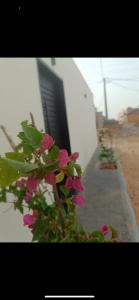 una planta con flores rosas frente a un edificio en شاليه الجوري en Ilbaras