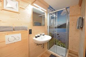 uma casa de banho com um lavatório e uma cabina de duche em vidro. em Ferienhof Holzmeister em Sankt Jakob in Haus