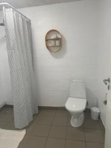 a white bathroom with a toilet and a shower at Vestervang bed and breakfast in Nykøbing Mors