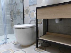W łazience znajduje się biała toaleta i prysznic. w obiekcie Apartamento Ábside de San Juan I w mieście Estella