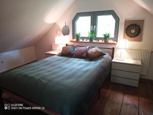 a bedroom with a bed with pillows and a window at Agroturystyka Wiski 66 in Tuczna