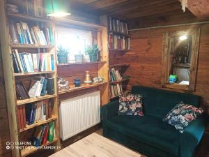 a living room with a green couch and book shelves at Agroturystyka Wiski 66 in Tuczna