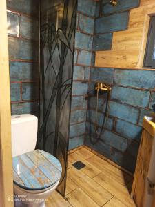 a bathroom with a shower with a toilet in it at Agroturystyka Wiski 66 in Tuczna