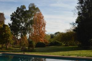 una piscina in un cortile con alberi sullo sfondo di Casona Re-encuentro a Yerbas Buenas