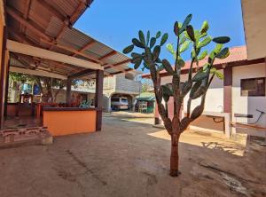 a small tree in the middle of a courtyard at Patar White Beach Bolinao- Lilybeth's Transient House in Bolinao
