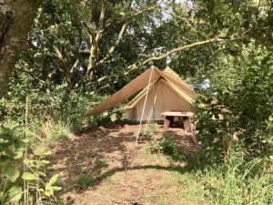 une tente avec une table de pique-nique dans les bois dans l'établissement Camp Golstav - Romantic view over the hills., à Flobecq