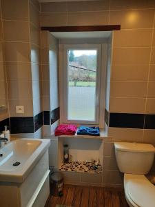 ein Bad mit einem Waschbecken, einem WC und einem Fenster in der Unterkunft Studio Soleil au Hohwald in Le Hohwald