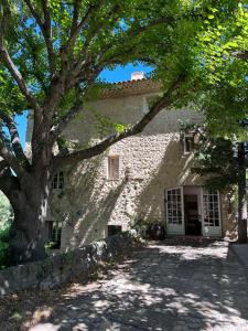 a stone house with a tree in front of it at Moulin d'Antelon B&B in Crillon-le-Brave