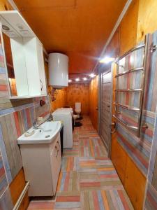 Orelskyi Dvor في Mohyliv: مطبخ صغير مع حوض ومرحاض