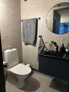 W łazience znajduje się toaleta, umywalka i lustro. w obiekcie Gamla stallet w mieście Helsingborg
