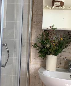 baño con maceta encima de un aseo en La cerbiatta, en Castel di Sangro 38 fotos más