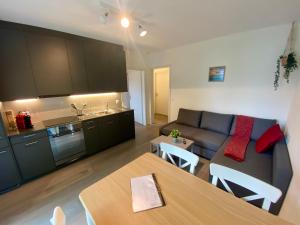 Η κουζίνα ή μικρή κουζίνα στο Beautiful flat with nice lake and mountain views